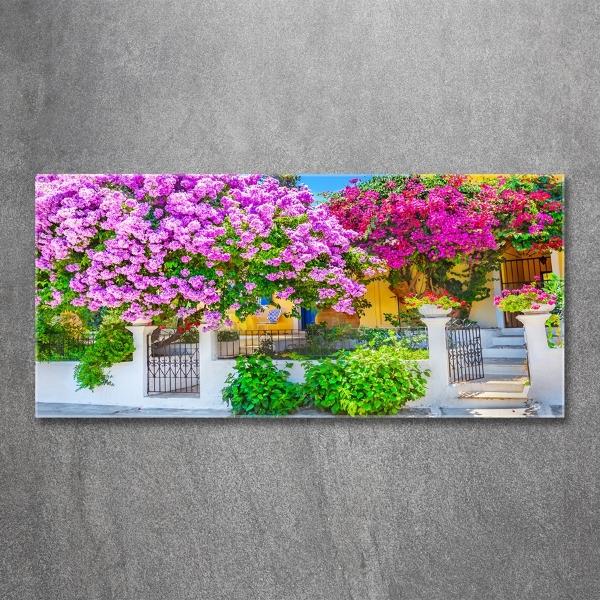 Bild auf glas Haus mit Bougainvillea