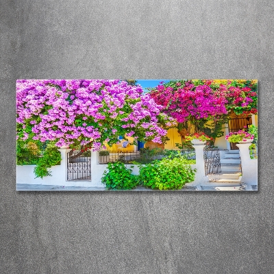 Bild auf glas Haus mit Bougainvillea