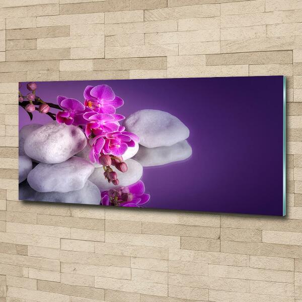 Glasbild Orchidee