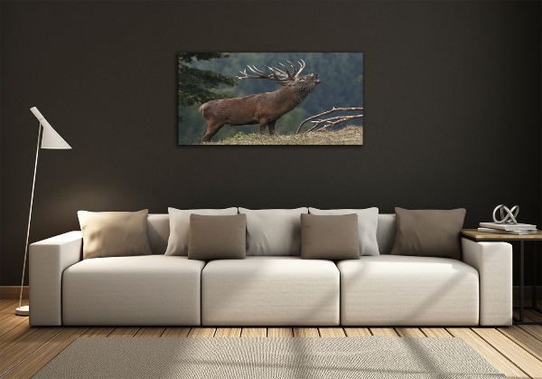 Foto glasbild Hirsche auf dem Hügel