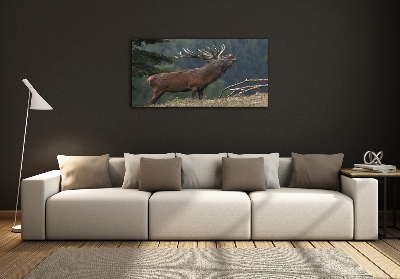 Foto glasbild Hirsche auf dem Hügel