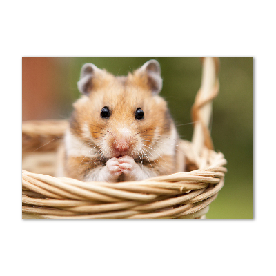 Glasbild Hamster im Korb