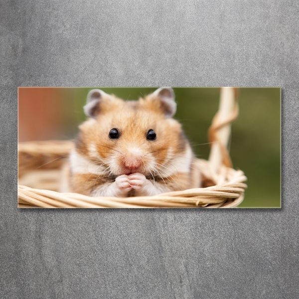 Glasbild Hamster im Korb