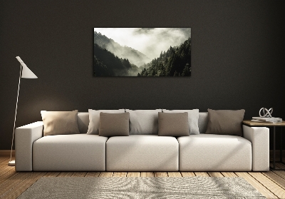 Foto glasbild Nebel über dem Wald