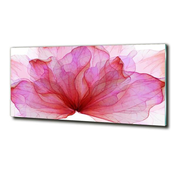 Foto glasbild Rosa Blume