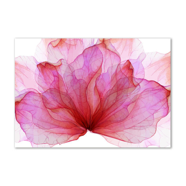 Foto glasbild Rosa Blume