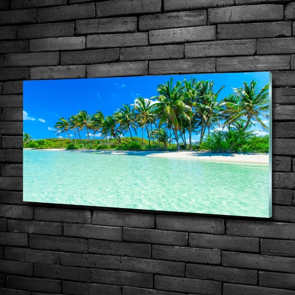 Glasbild Tropischer Strand