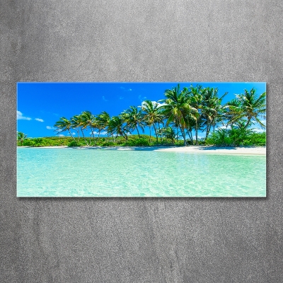 Glasbild Tropischer Strand
