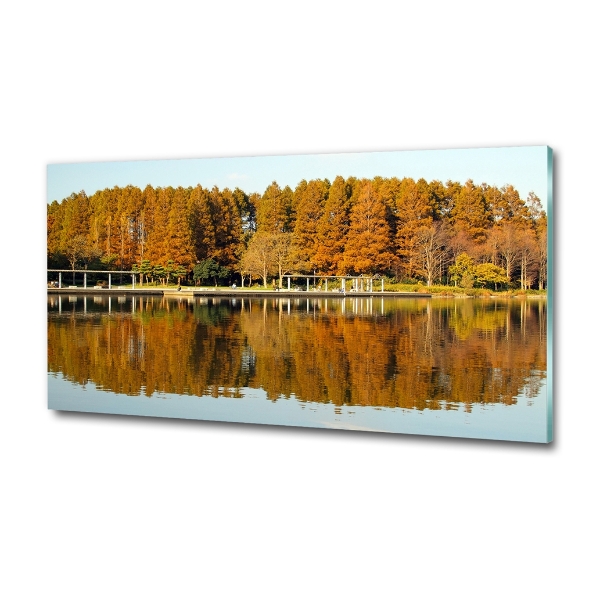 Bild auf glas Wald am See