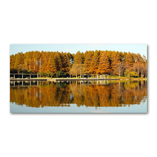 Bild auf glas Wald am See