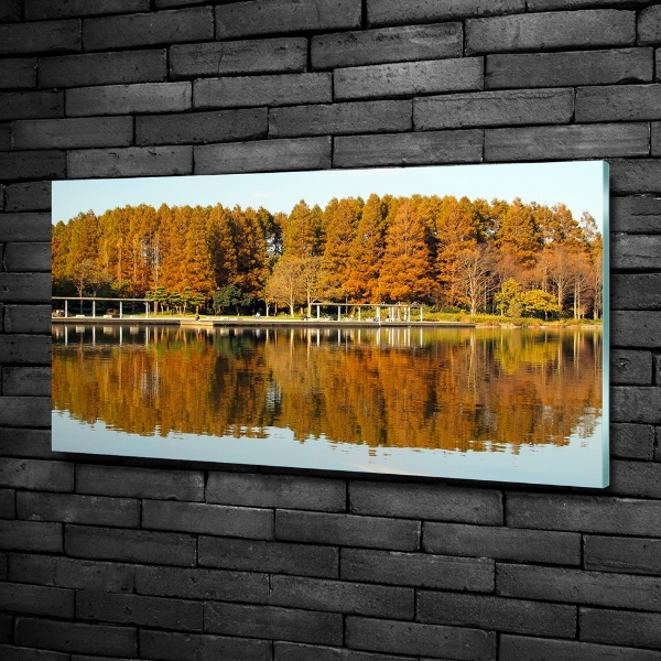 Bild auf glas Wald am See