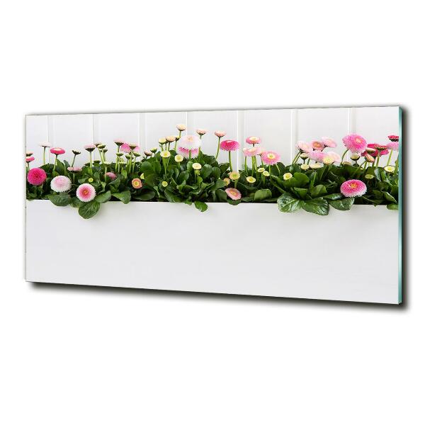 Glasbild Rosa Gänseblümchen