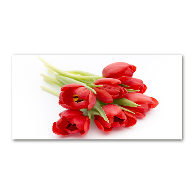 Glasbild Rote Tulpen