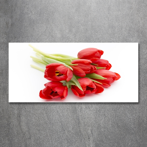 Glasbild Rote Tulpen