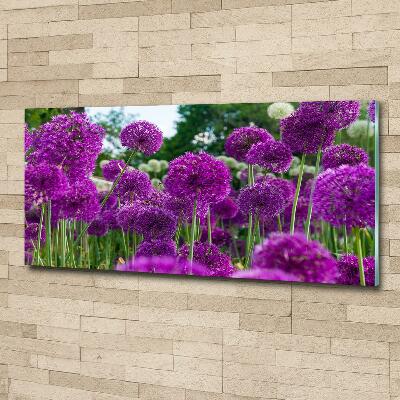 Glasbild Knoblauchblüten