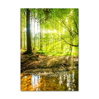 Foto auf glas vertikales Die Sonne im Wald