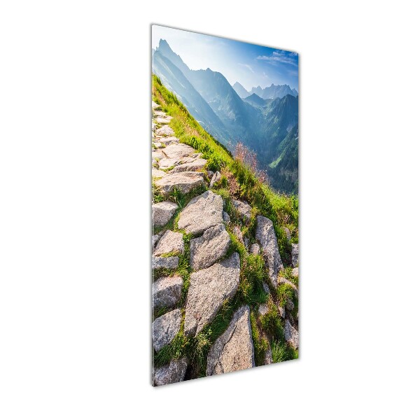 Glasbild vertikales Bergpfad