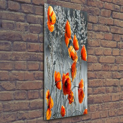 Bild aus glas vertikales Feldmohn