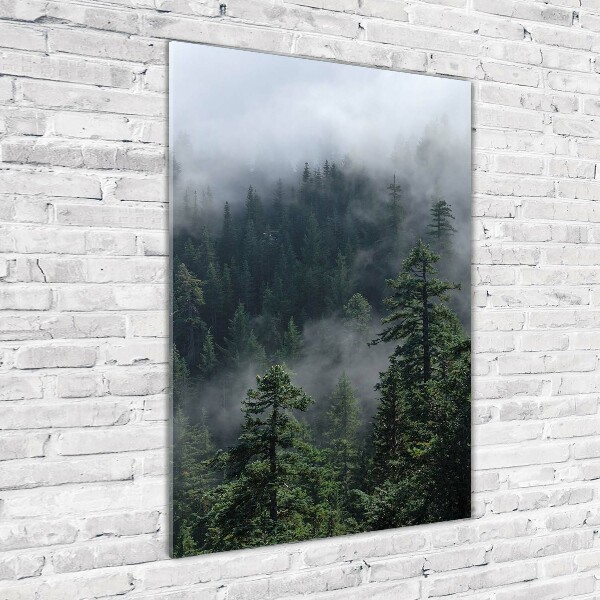 Glasbild vertikales Nebel über dem Wald