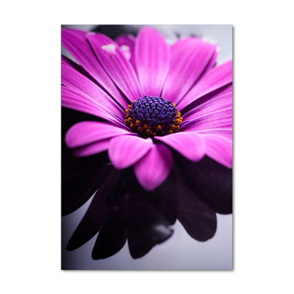 Foto auf glas vertikales Rosa Gerbera