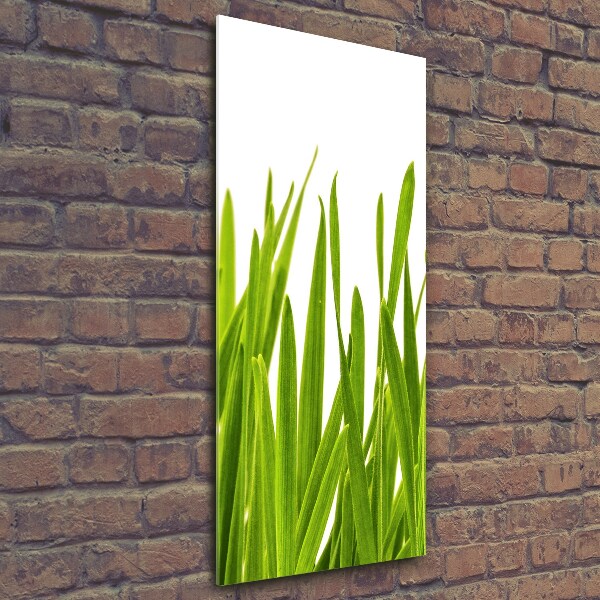 Glasbild vertikales Grünes Gras