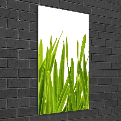 Glasbild vertikales Grünes Gras