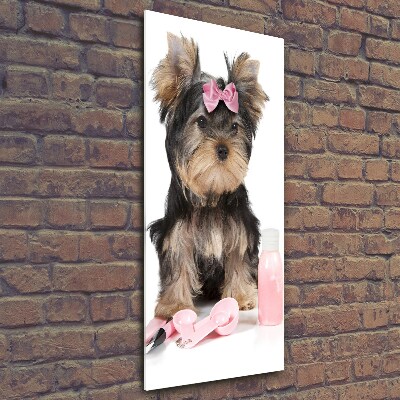 Glasbild vertikales Yorkshire Kosmetik