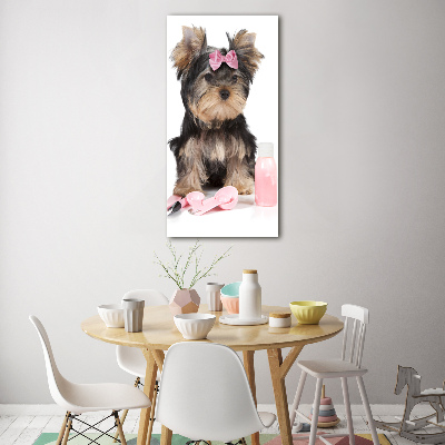 Glasbild vertikales Yorkshire Kosmetik