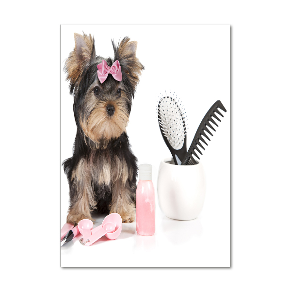 Glasbild vertikales Yorkshire Kosmetik