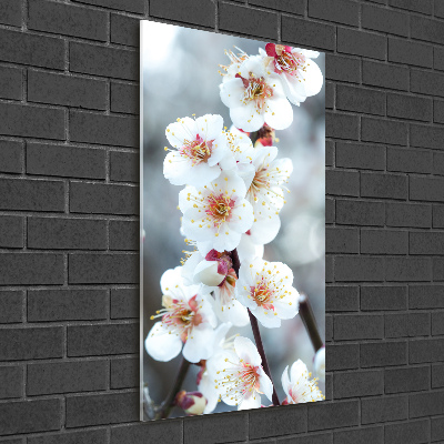 Foto auf glas vertikales Kirschblüten