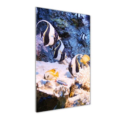 Foto auf glas vertikales Korallenriff