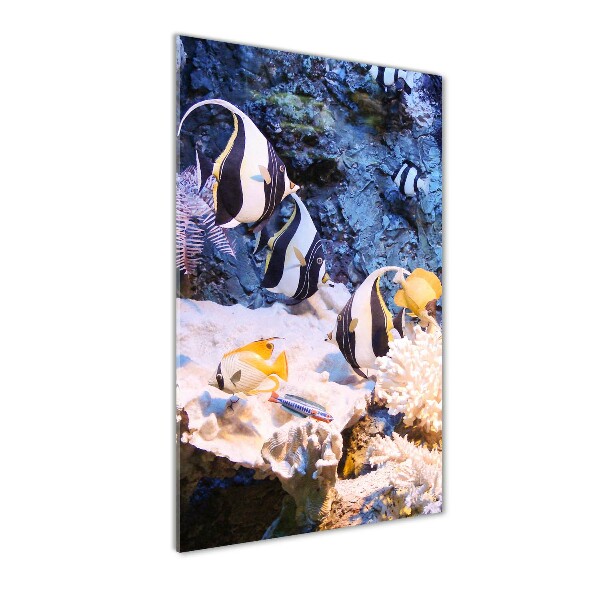 Foto auf glas vertikales Korallenriff