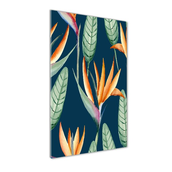 Foto auf glas vertikales Strelitzia reginae