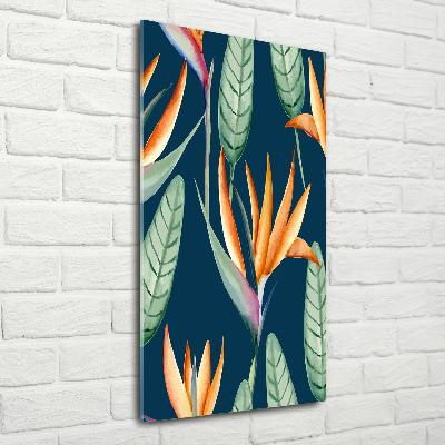 Foto auf glas vertikales Strelitzia reginae