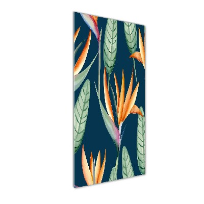 Foto auf glas vertikales Strelitzia reginae