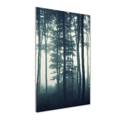 Glasbild vertikales Nebel im Wald