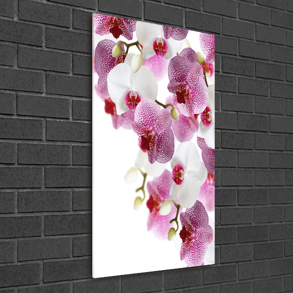 Glasbild vertikales Orchidee