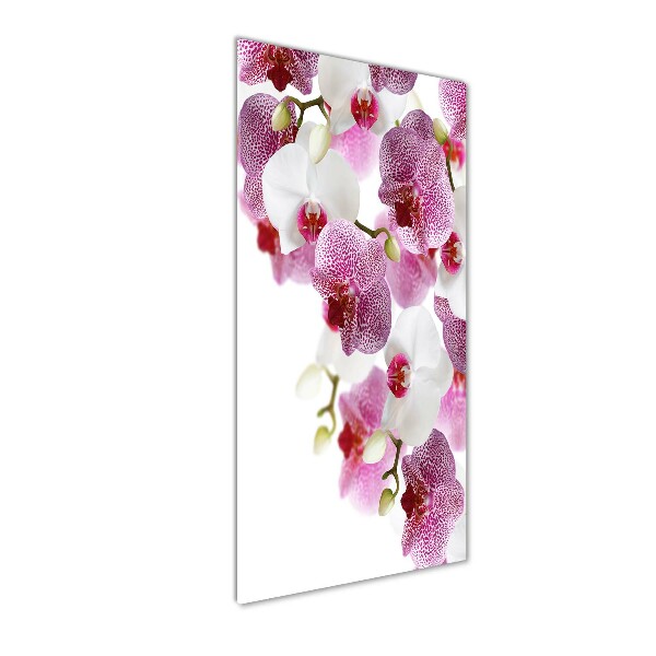 Glasbild vertikales Orchidee