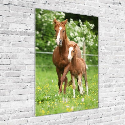 Bild aus glas vertikales Stute und Fohlen