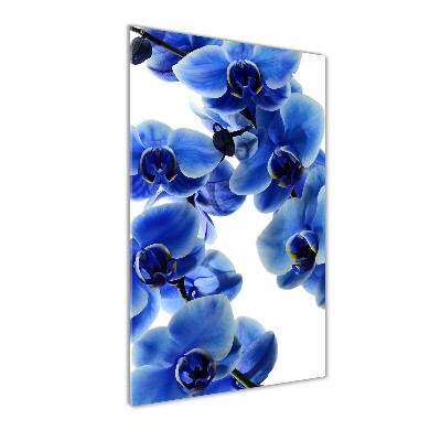 Glasbild vertikales Blaue Orchidee