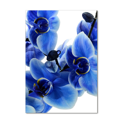 Glasbild vertikales Blaue Orchidee