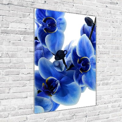 Glasbild vertikales Blaue Orchidee