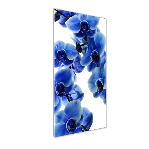 Glasbild vertikales Blaue Orchidee