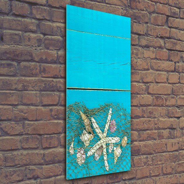 Foto auf glas vertikales Muscheln und Seesterne