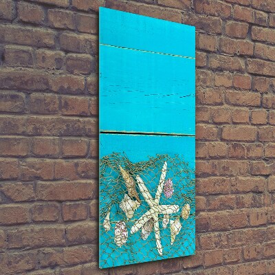 Foto auf glas vertikales Muscheln und Seesterne