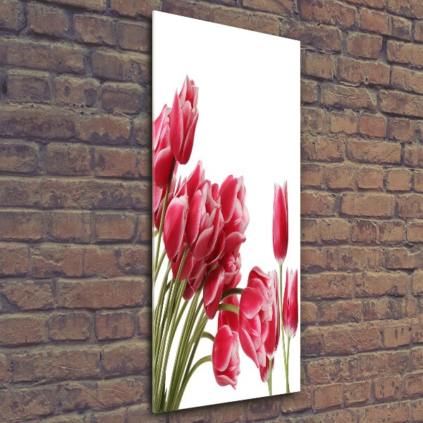 Bild aus glas vertikales Rote Tulpen