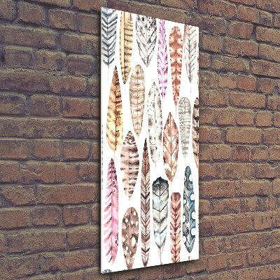 Foto auf glas vertikales Bunte Federn