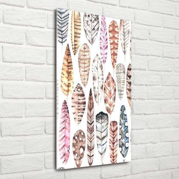 Foto auf glas vertikales Bunte Federn