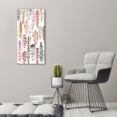 Foto auf glas vertikales Bunte Federn