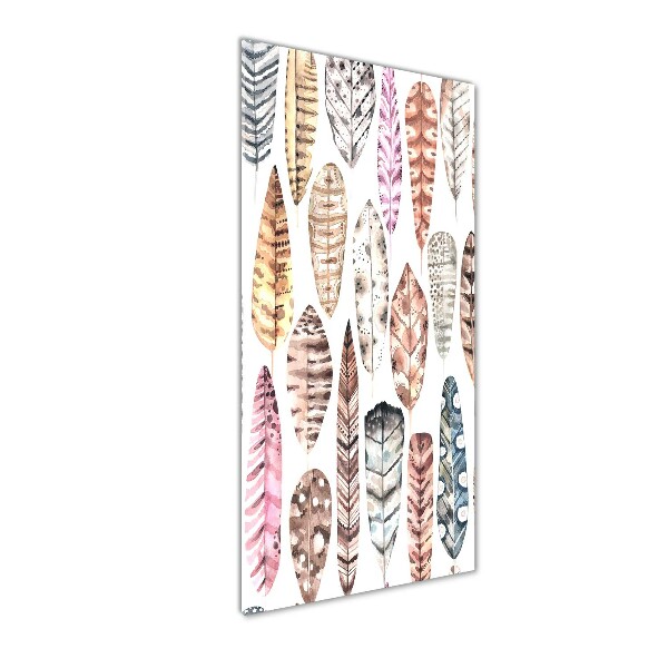 Foto auf glas vertikales Bunte Federn